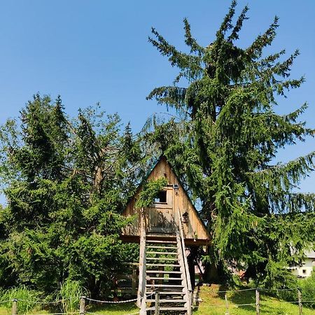 Zen Among The Trees Villa Stahovica Exteriör bild