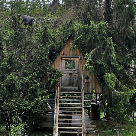 Zen Among The Trees Villa Stahovica Exteriör bild